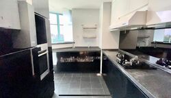 Astor Green (D21), Condominium #461354881
